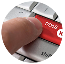 DDoS Protection